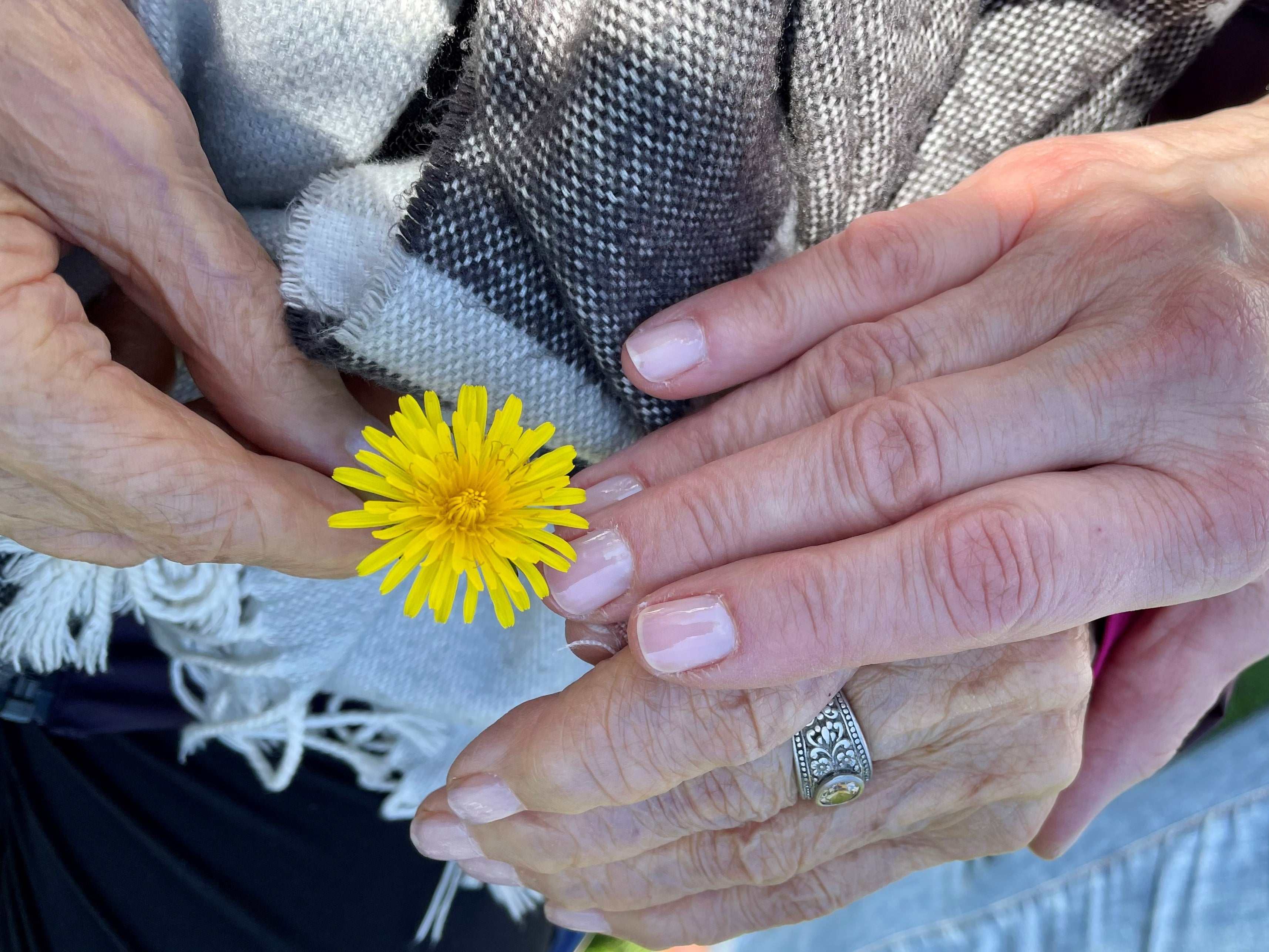 16 Easy Ideas to Celebrate Grandparents Day